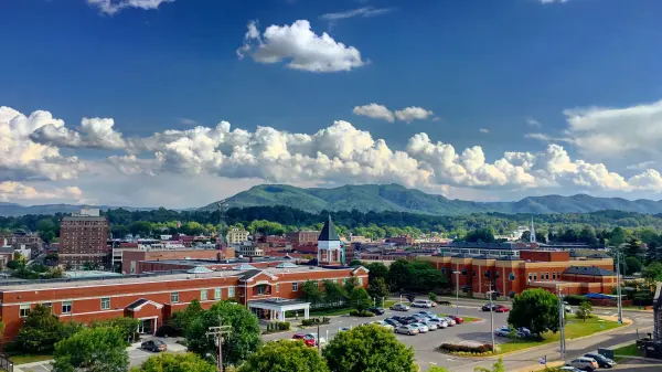 View of Johnson City